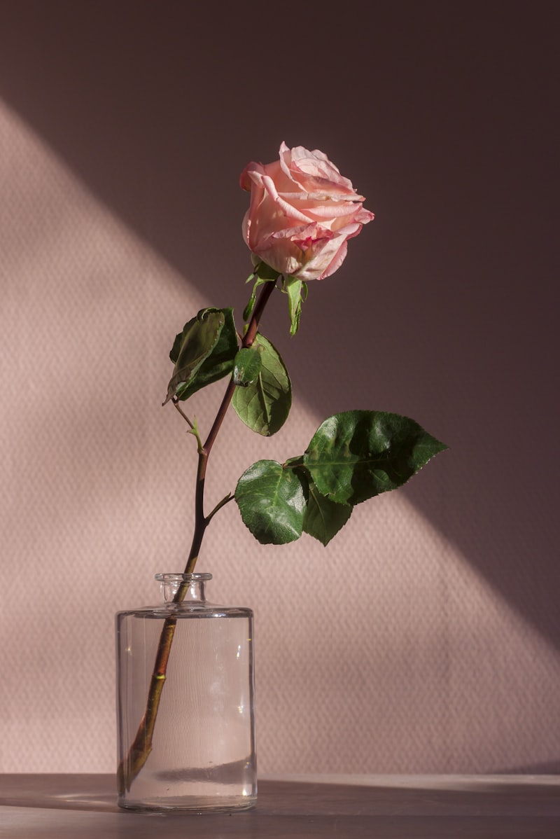 Romantic Bouquet
